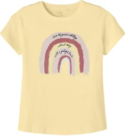 NAME IT T-Shirt NKFTENJE , Organic Cotton