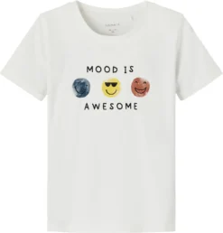 NAME IT T-Shirt NMMTOR , Organic Cotton